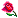 rose.gif (186 bytes)